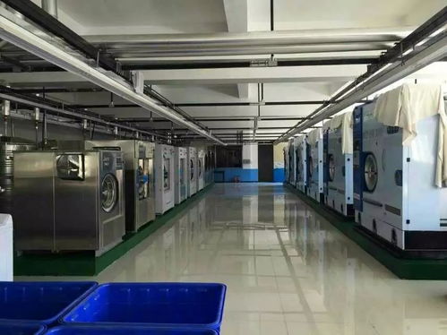 干洗店專用烘干機報價 廠家