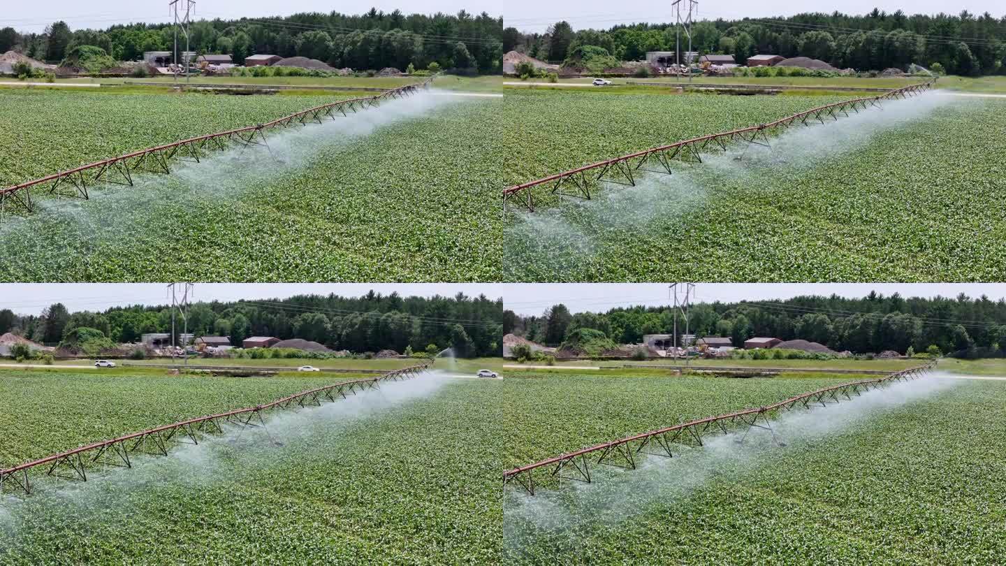 威斯康辛州中部的一片農田正在用灑水系統進行灌溉。